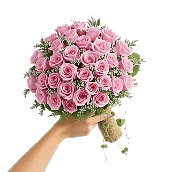 Blushing Rose Symphony