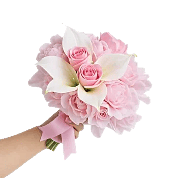 Blushing Rose Symphony