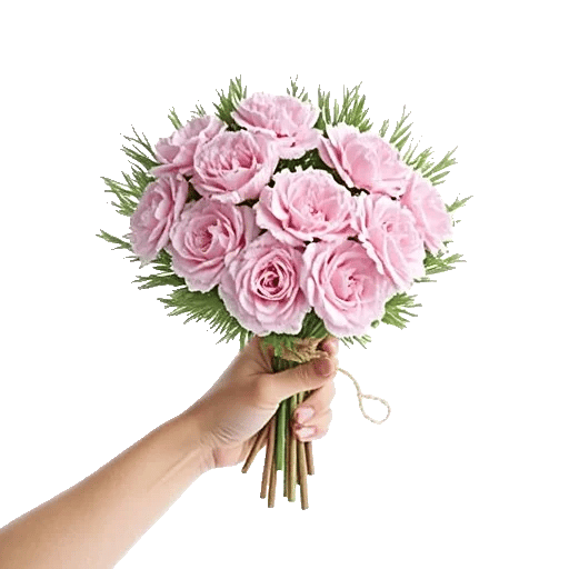 Pastel Pink Roses