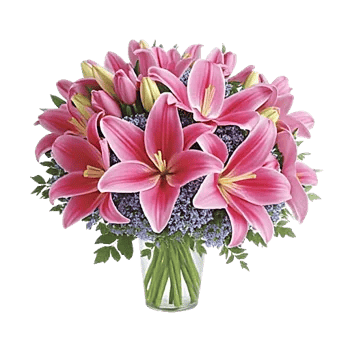 Blossom Harmony Display