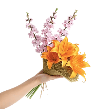 Blossom Breeze Harmony