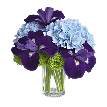 Ivory Blossom Radiance