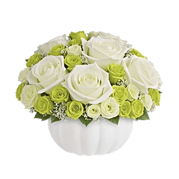 Modern White Orchids