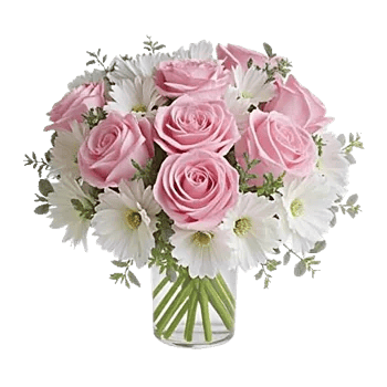 Ivory Blossom Radiance