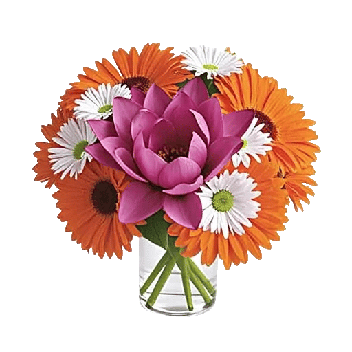 Petal Radiance Bliss