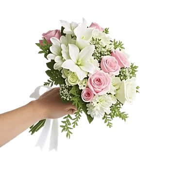Elegant Calla Lilies