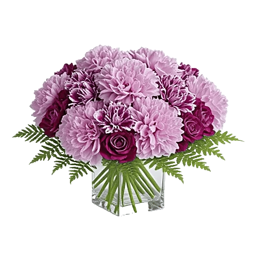 Petal Radiance Bliss