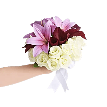 Elegant Calla Lilies