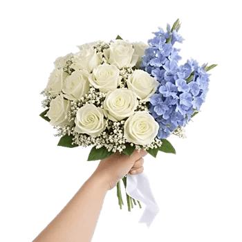 Blossom Petal Serenity