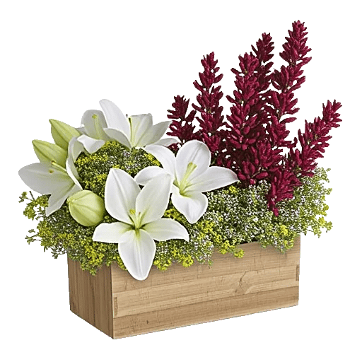 Graceful Lily Display