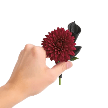 Elegant Calla Lilies