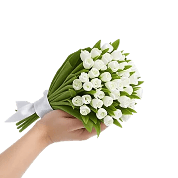 Minimalist White Orchids