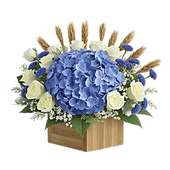 Serene Petal Harmony