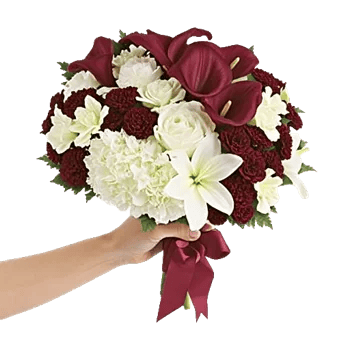 Elegant Calla Lilies