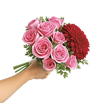 Blushing Rose Symphony