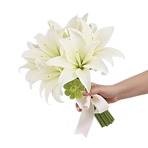 Minimalist White Orchids