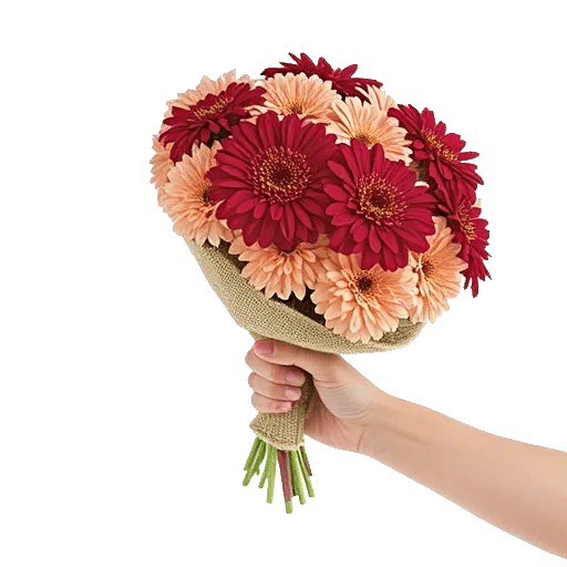 Crimson Rose Elegance