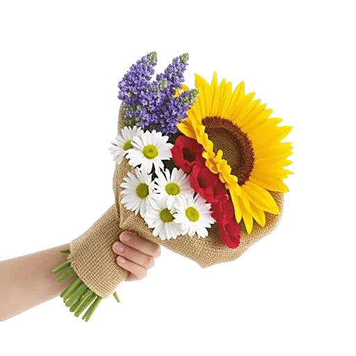 Twinkling Sunflower Dance
