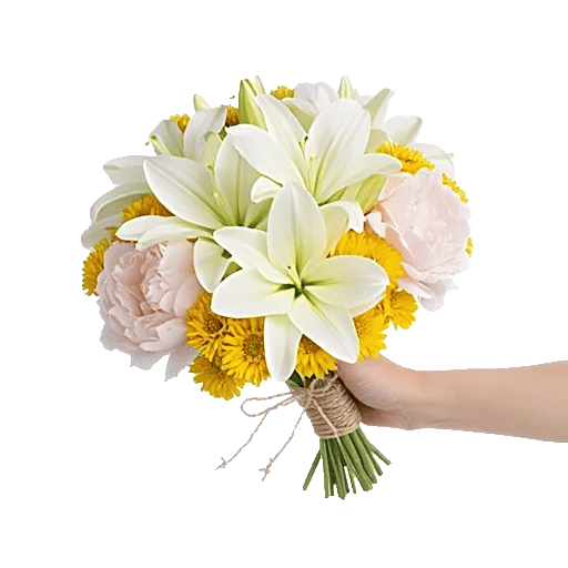 Blossom Harmony Display