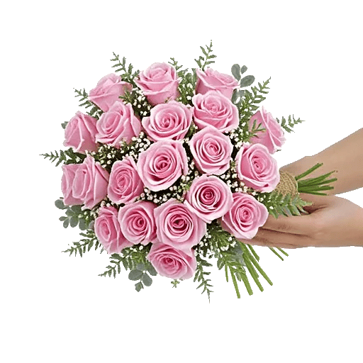 Pastel Pink Roses