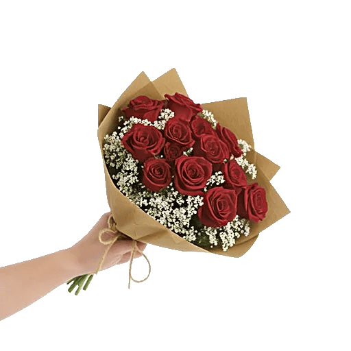 Crimson Rose Elegance