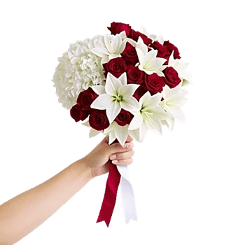 Delicate Petal Cascade