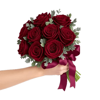 Crimson Rose Elegance