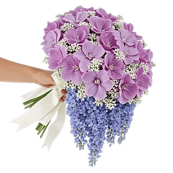 Delicate Petal Cascade
