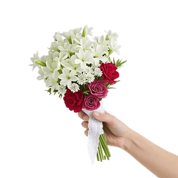 Serene Petal Harmony