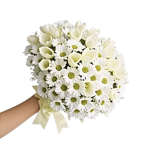 Blossom Harmony Display