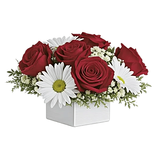 Crimson Rose Elegance