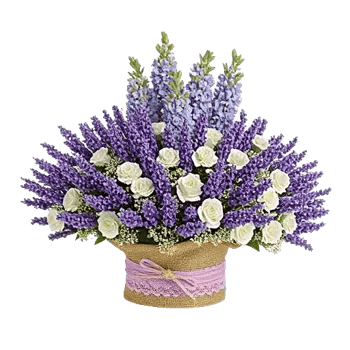 Lavender Bloom Grace