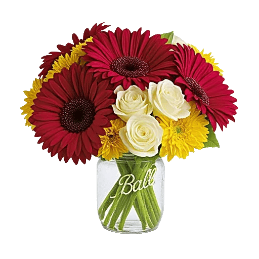 Petal Radiance Bliss