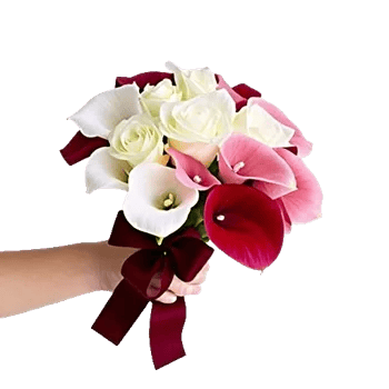 Elegant Calla Lilies