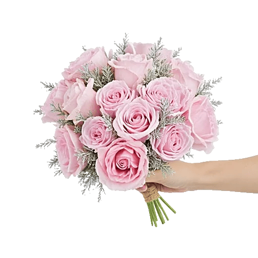 Pastel Pink Roses