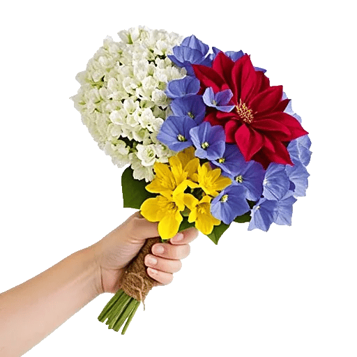 Blossom Harmony Display