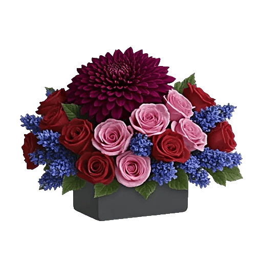 Crimson Blossom Harmony