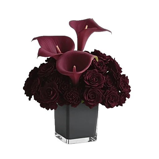 Elegant Calla Lilies