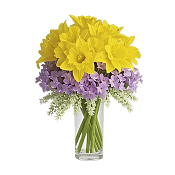 Petal Radiance Bliss
