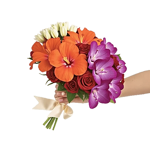 Petal Grace Harmony