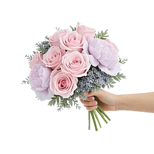 Pastel Pink Roses