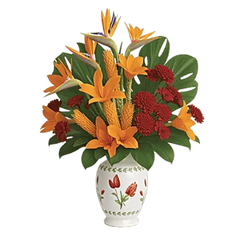 Tropical Sunflower Burst