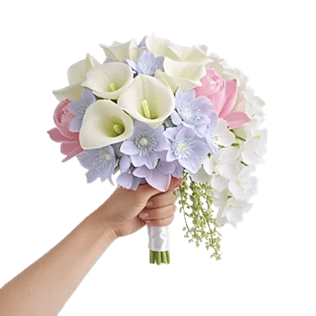 Elegant Calla Lilies