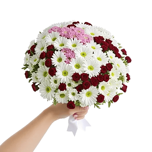 Blossom Harmony Display