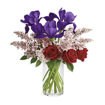 Ivory Blossom Radiance