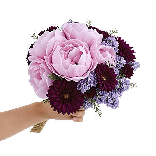 Peony Petal Harmony