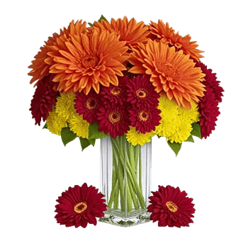 Radiant Bloom Cascade