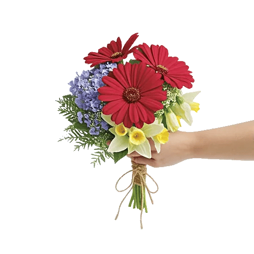 Coral Blossom Harmony