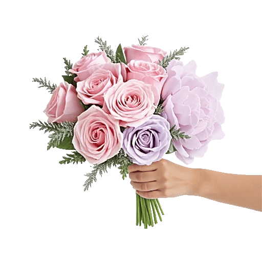 Pastel Pink Roses