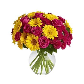 Petal Radiance Bliss
